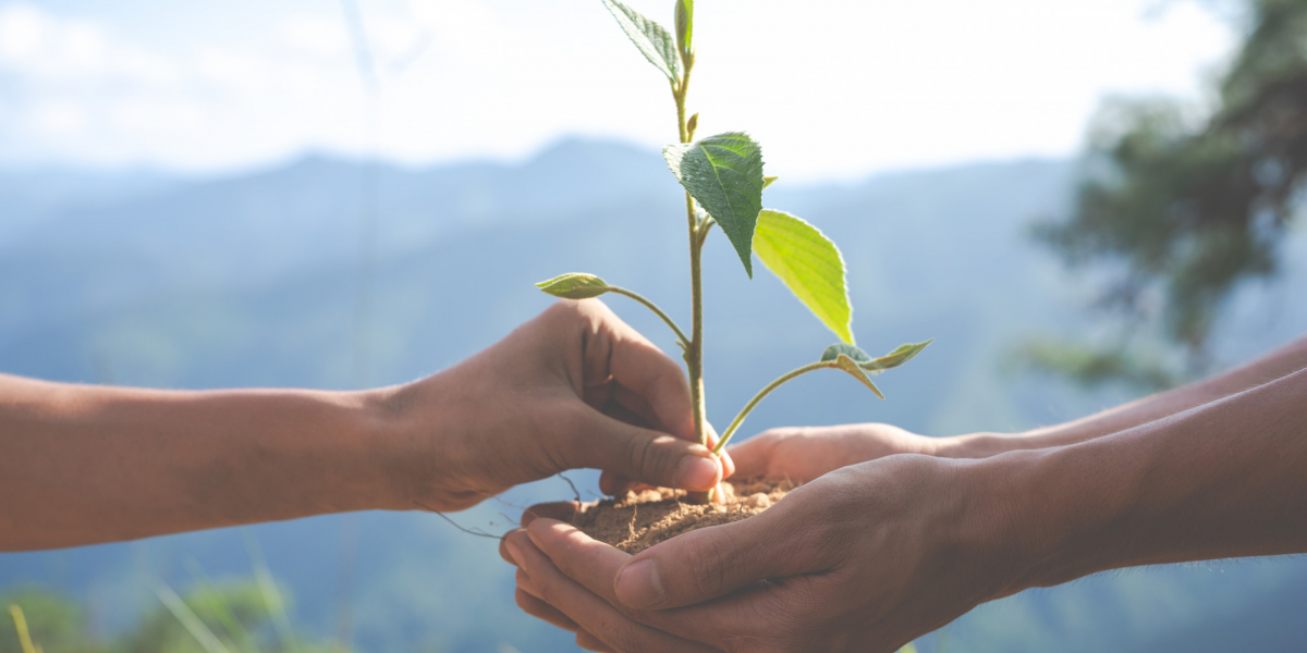 POP Incub t'aide à monter ton projet