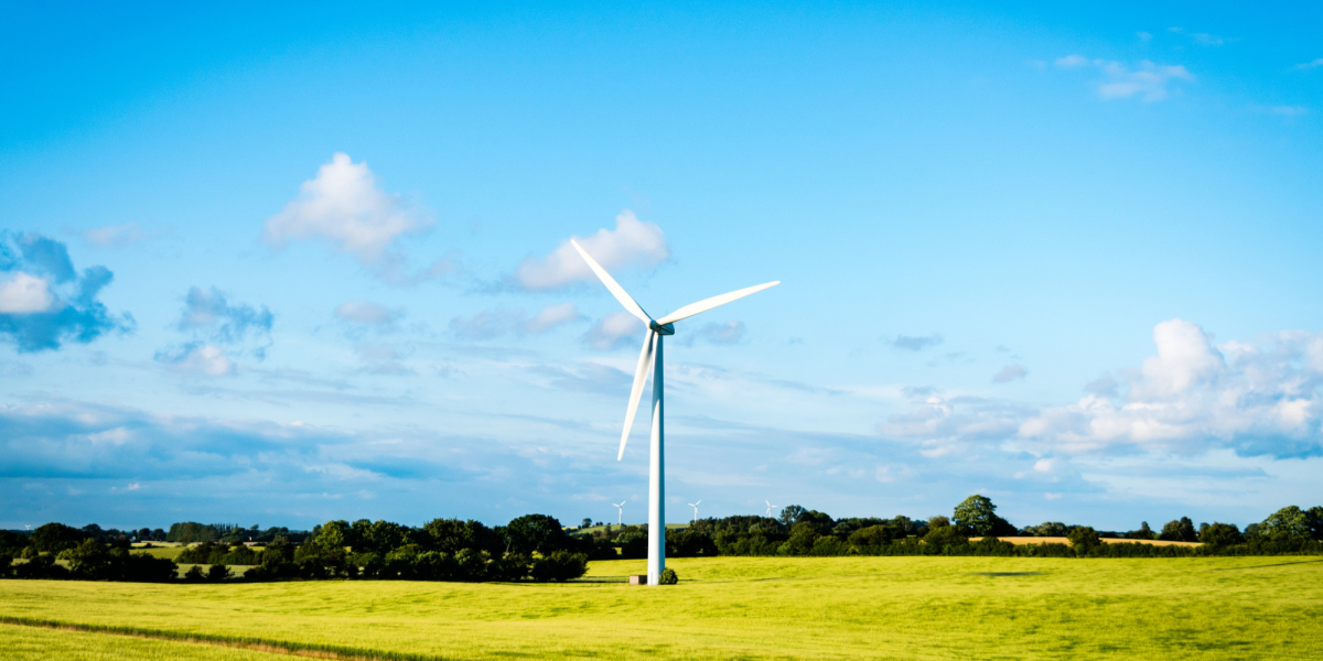 Les métiers de la transition écologique