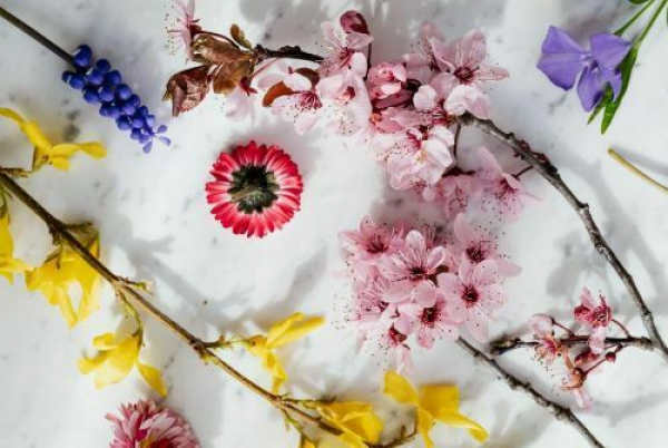 Fête du Printemps 2023