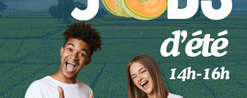 Jobs d'été...